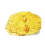 arete-de-palo-santo-hojas